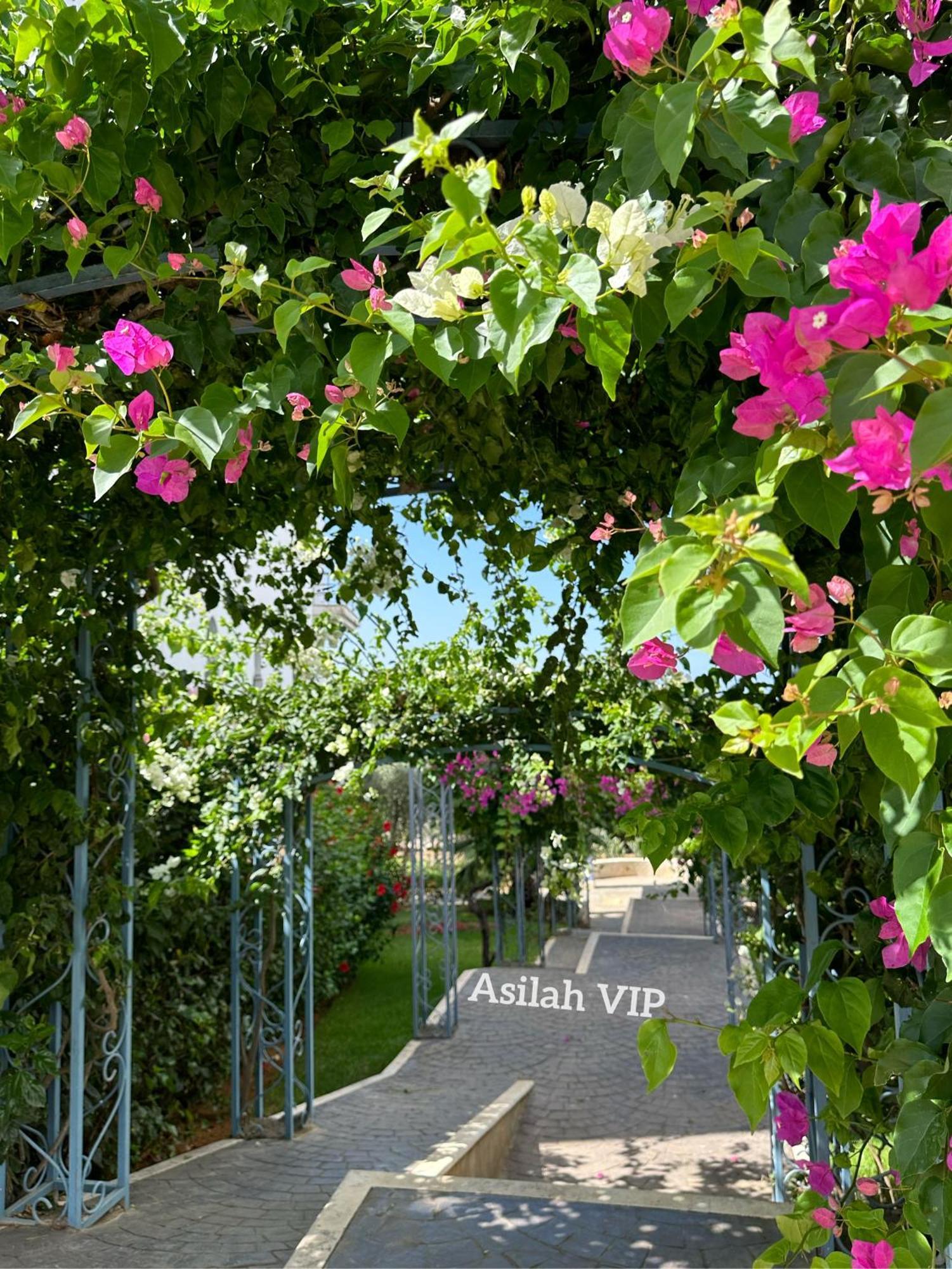 Asilah Vip - Haut Standing - Vue Mer - Piscines - Plage A 5 Minute - Garage Privee - Acces Pmr Экстерьер фото